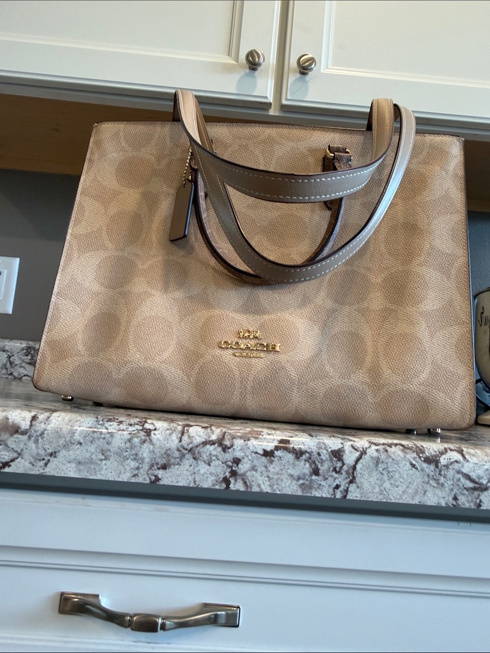 Coach Beige Signature Canvas Tote Bag - Coach - Picture 6 of 15